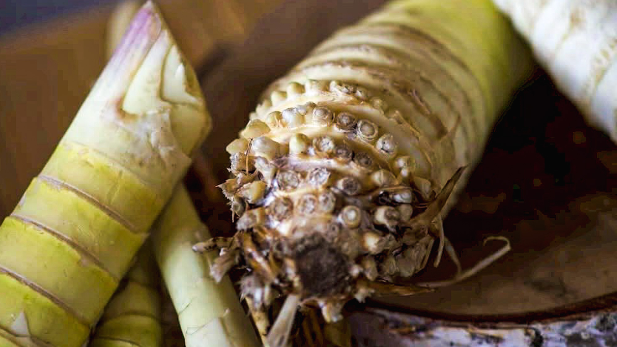 地元志賀高原で採れたものを季節に応じてお出ししております。