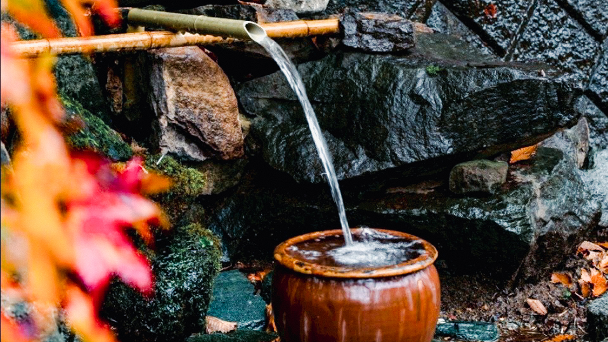 敷地入り口には湧き水スポット