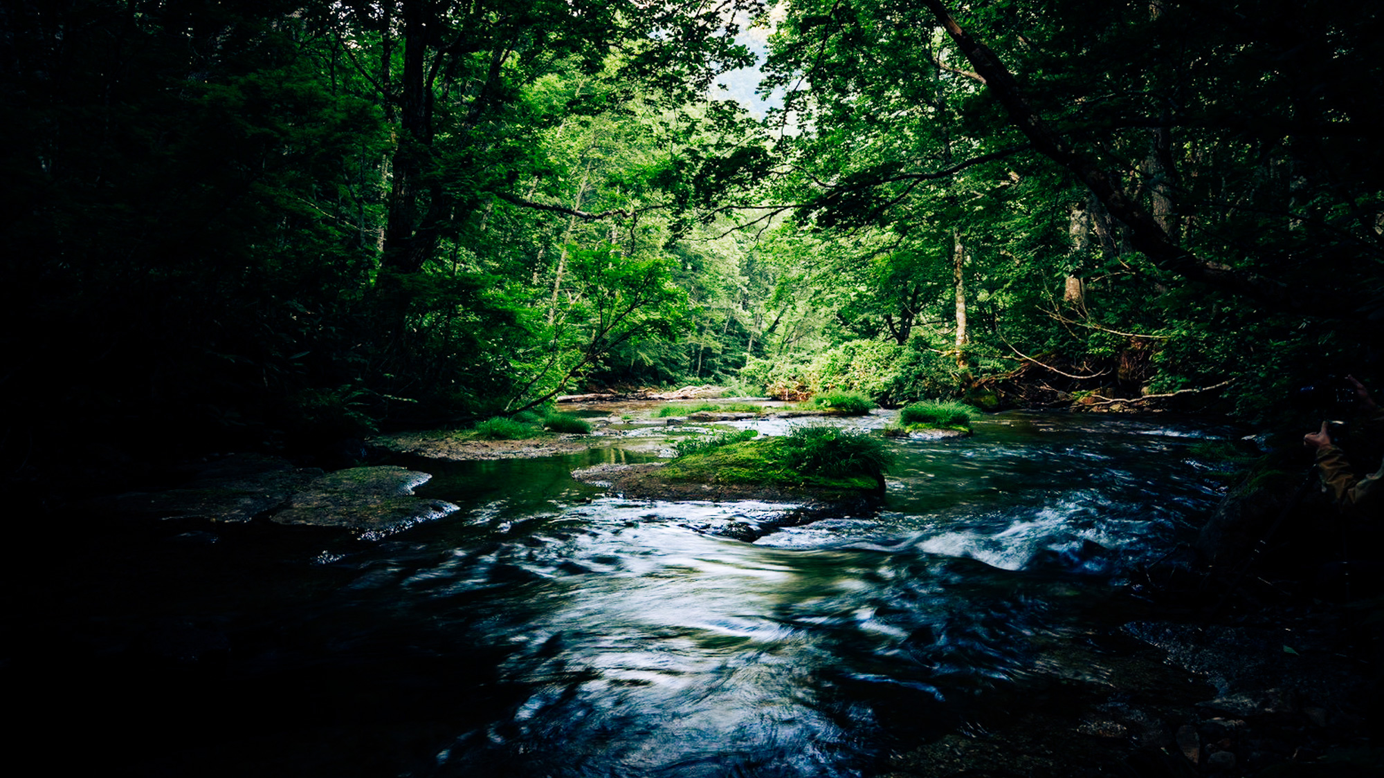 志賀高原の豊かな自然