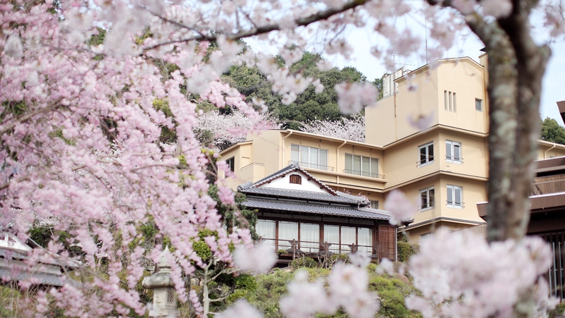 桜の見える客室確約・春の風雅を愛でる期間限定プラン