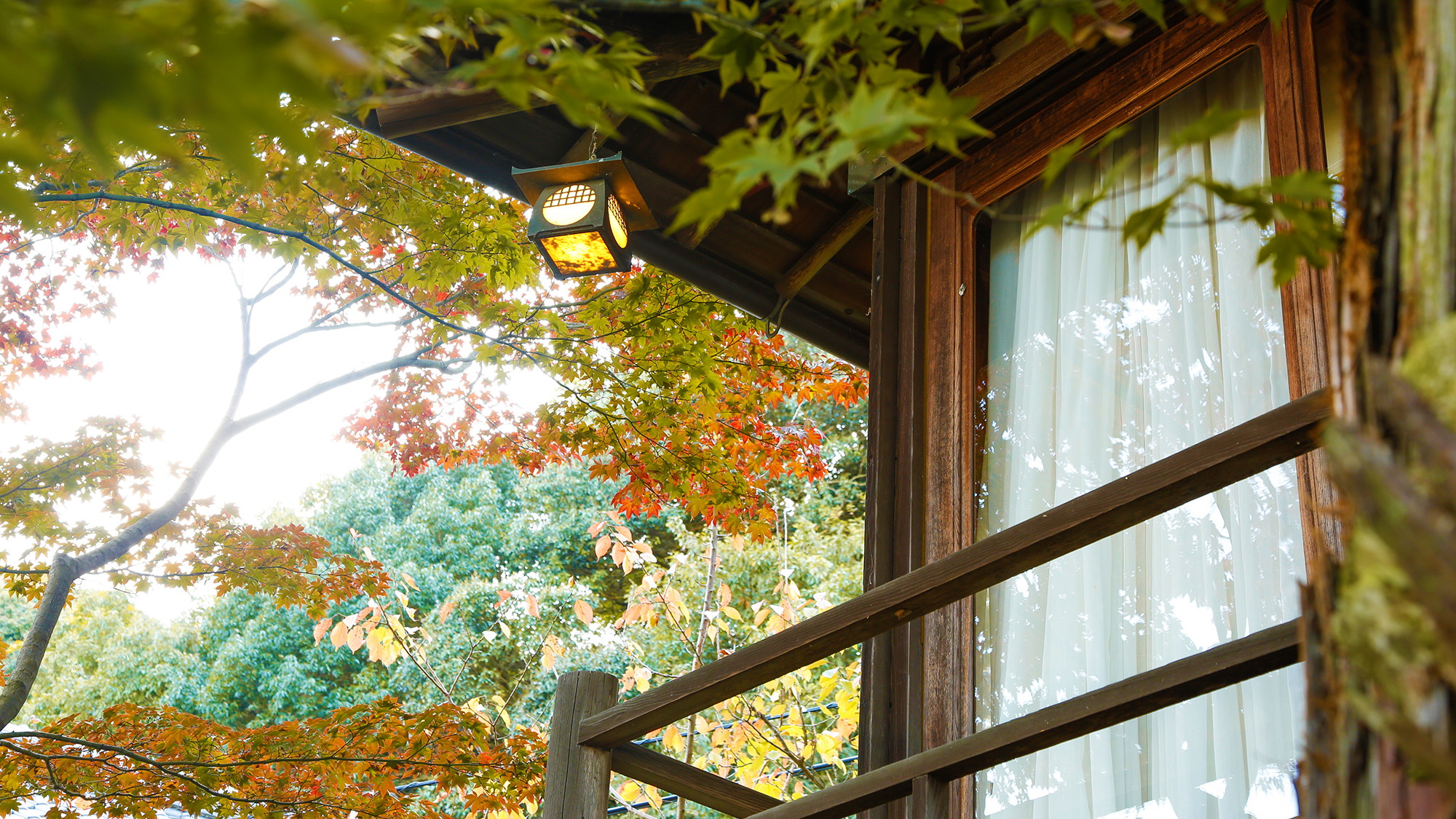 秋色に染まりゆく庭園と調和する数寄屋造り離れ