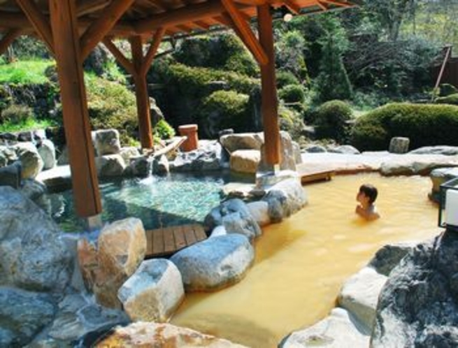 日帰り温泉　日本一の炭酸泉『ひめしゃがの湯』