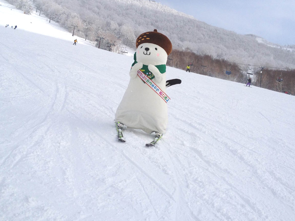 【素泊まり】志賀高原のど真ん中！一ノ瀬エリアでスキーを楽しむお食事無しプラン