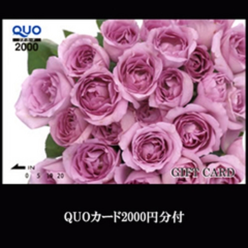 QUOカード2000円分付
