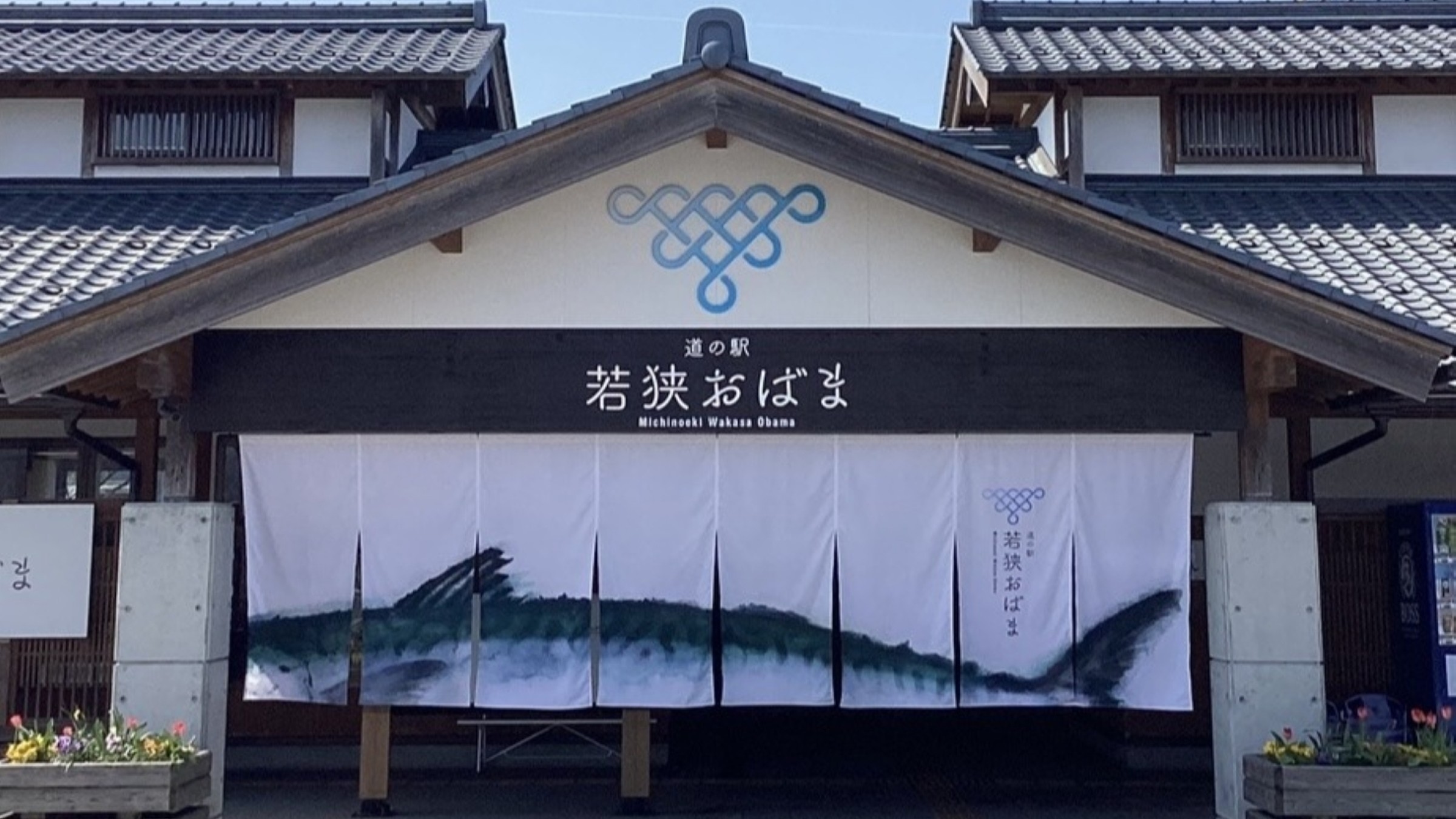 【青々吉日】大人気のカニたっぷり満喫！【かにづくし】姿蟹１杯＋蟹料理６品（刺・茹・焼・・）