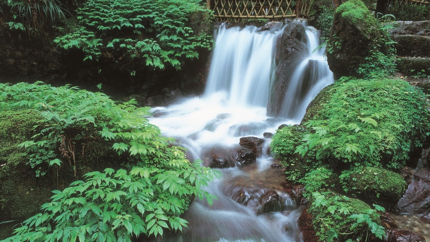 若狭瓜割名水公園　瓜割の滝