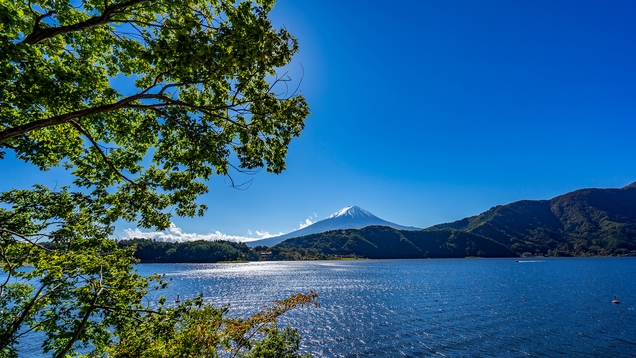 2月末まで期間限定【特割プラン／素泊まり】直前割でお得！自由気ままに旅を満喫