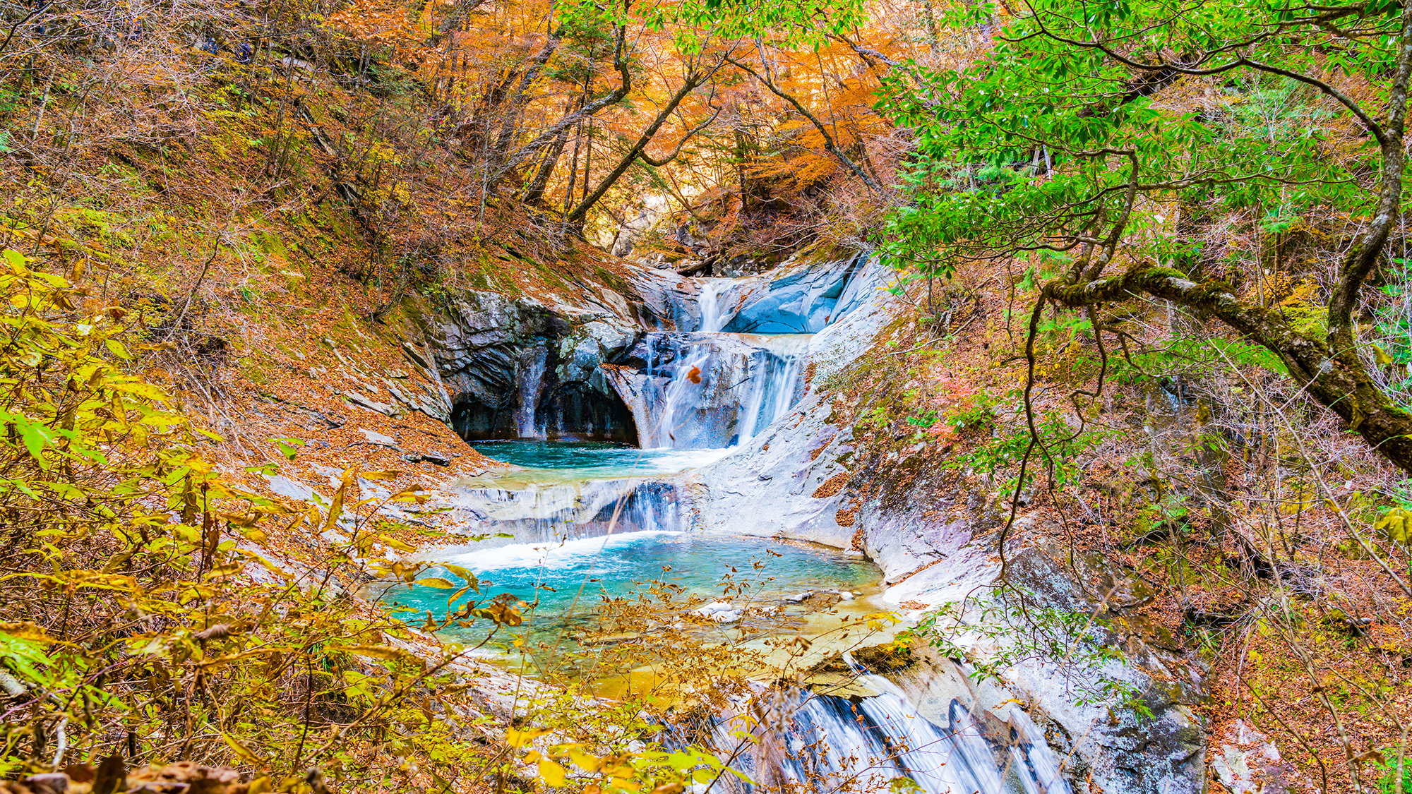 **周辺／西沢渓谷（車で60分）紅葉と滝を楽しむハイキングにもおすすめ！【10月中旬～11月下旬】