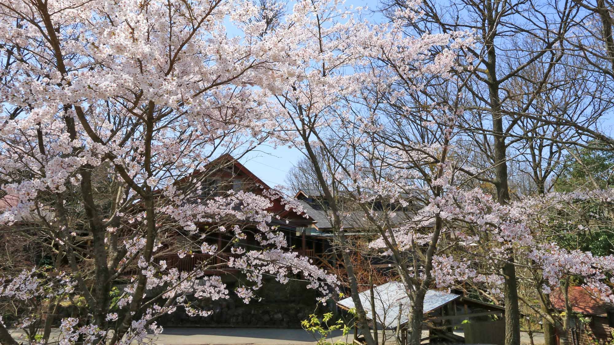 少人数で広々まったりと温泉三昧♪【たちばな・さざんか】