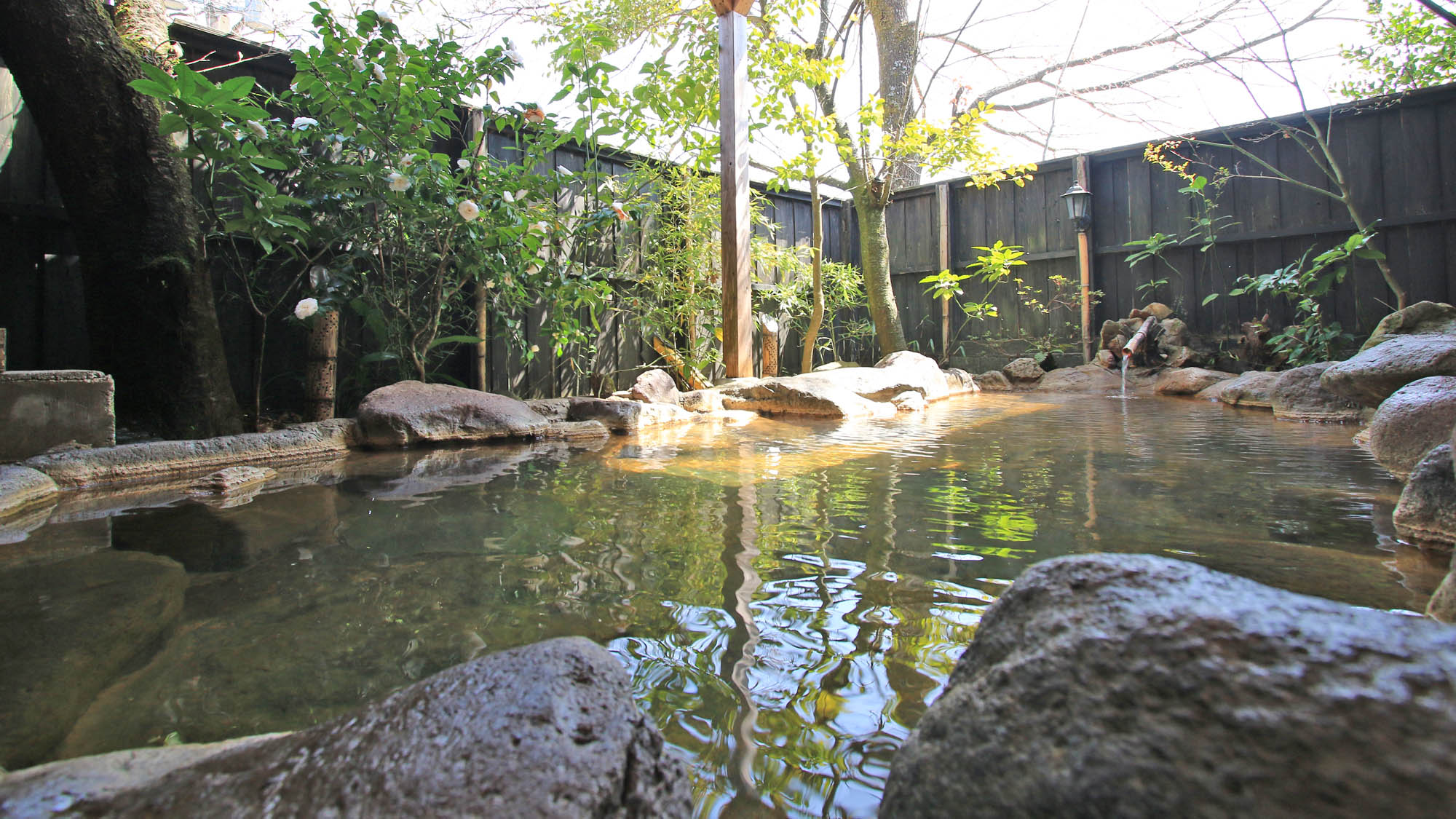 藤の湯