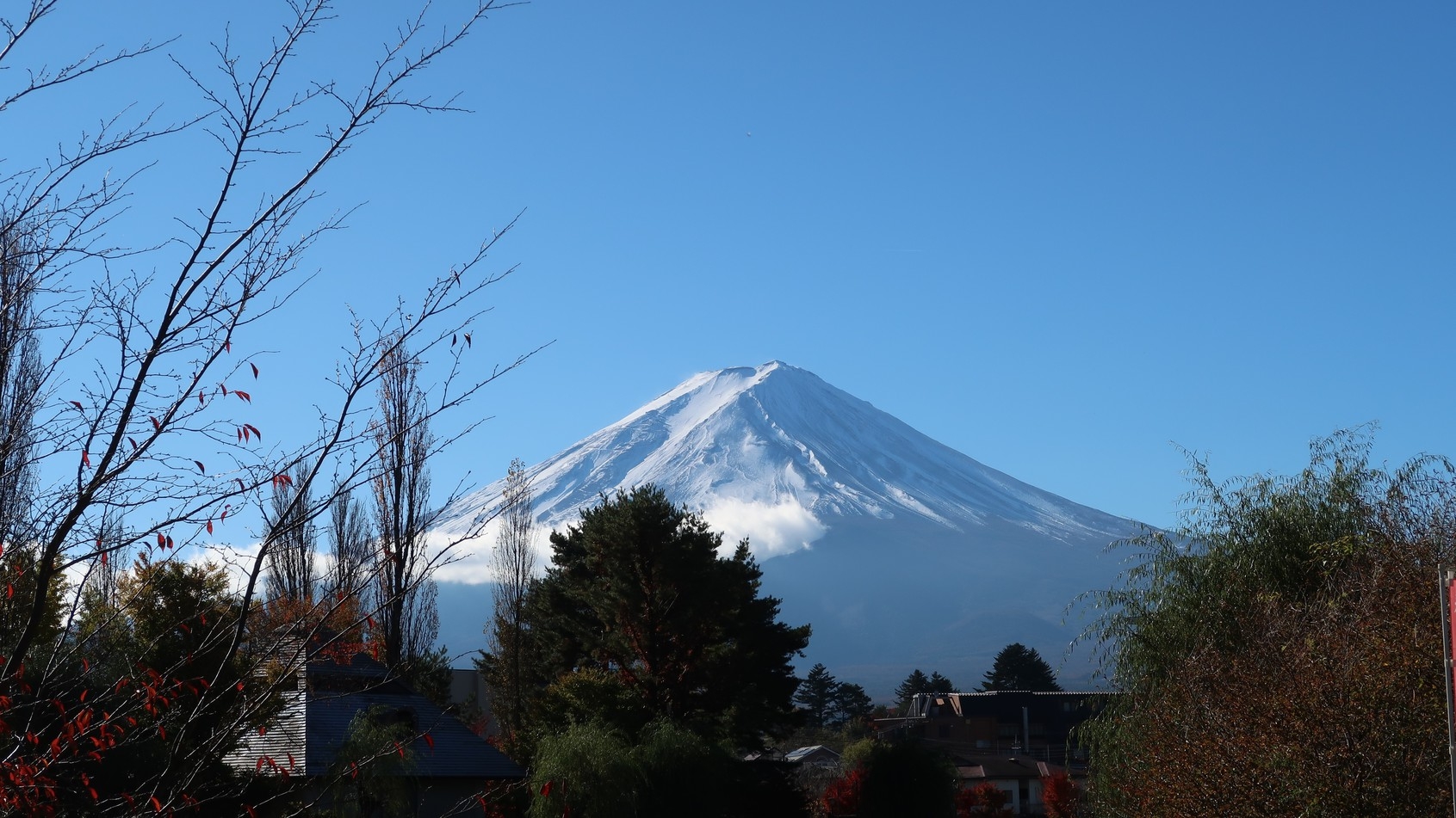 【雪化粧した富士を望む】床暖房でほっこり過ごせる蔵造りのコテージを一棟貸切（２〜５名様・素泊まり）