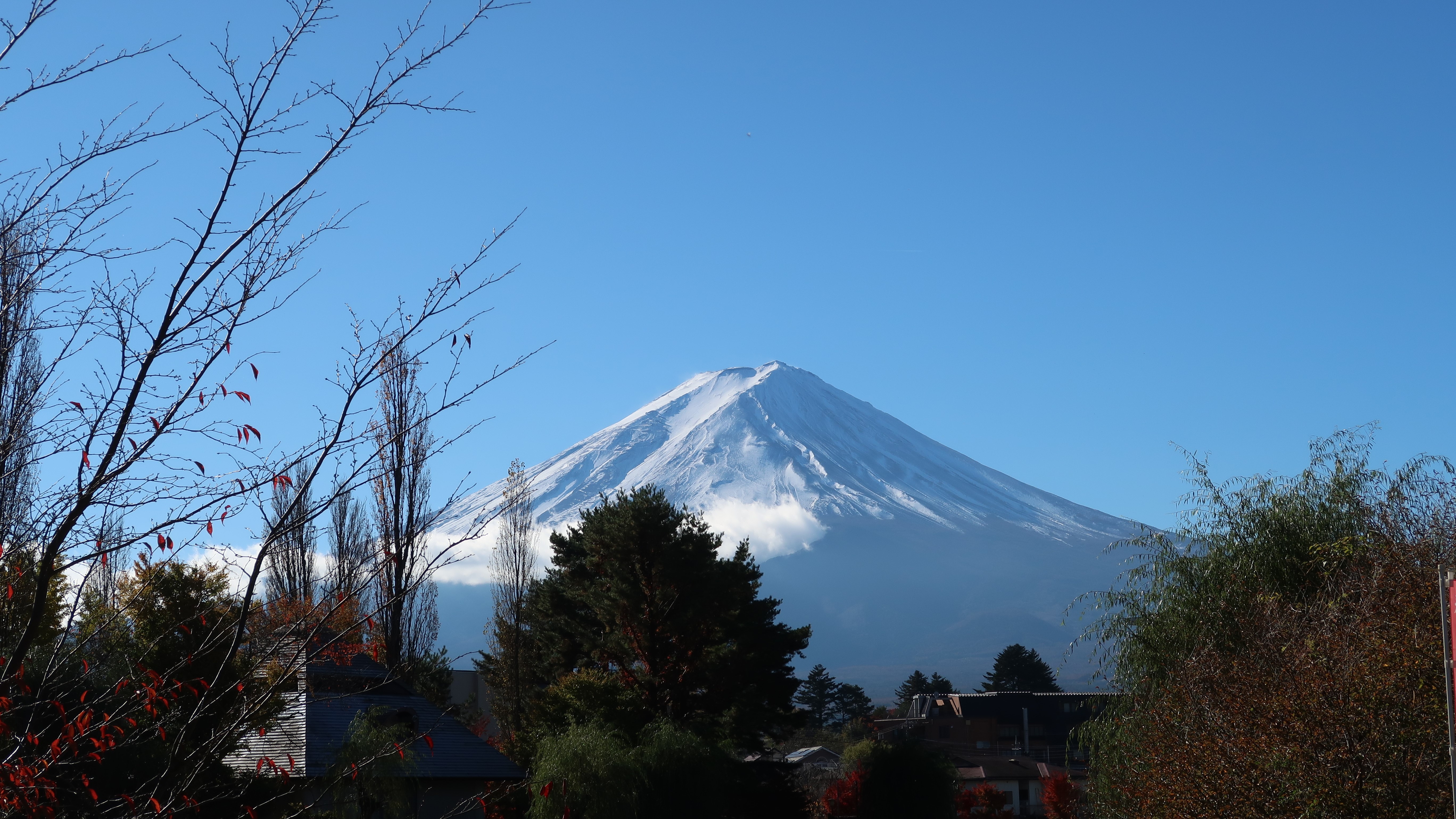 宿近くの大池公園から絶景の富士山