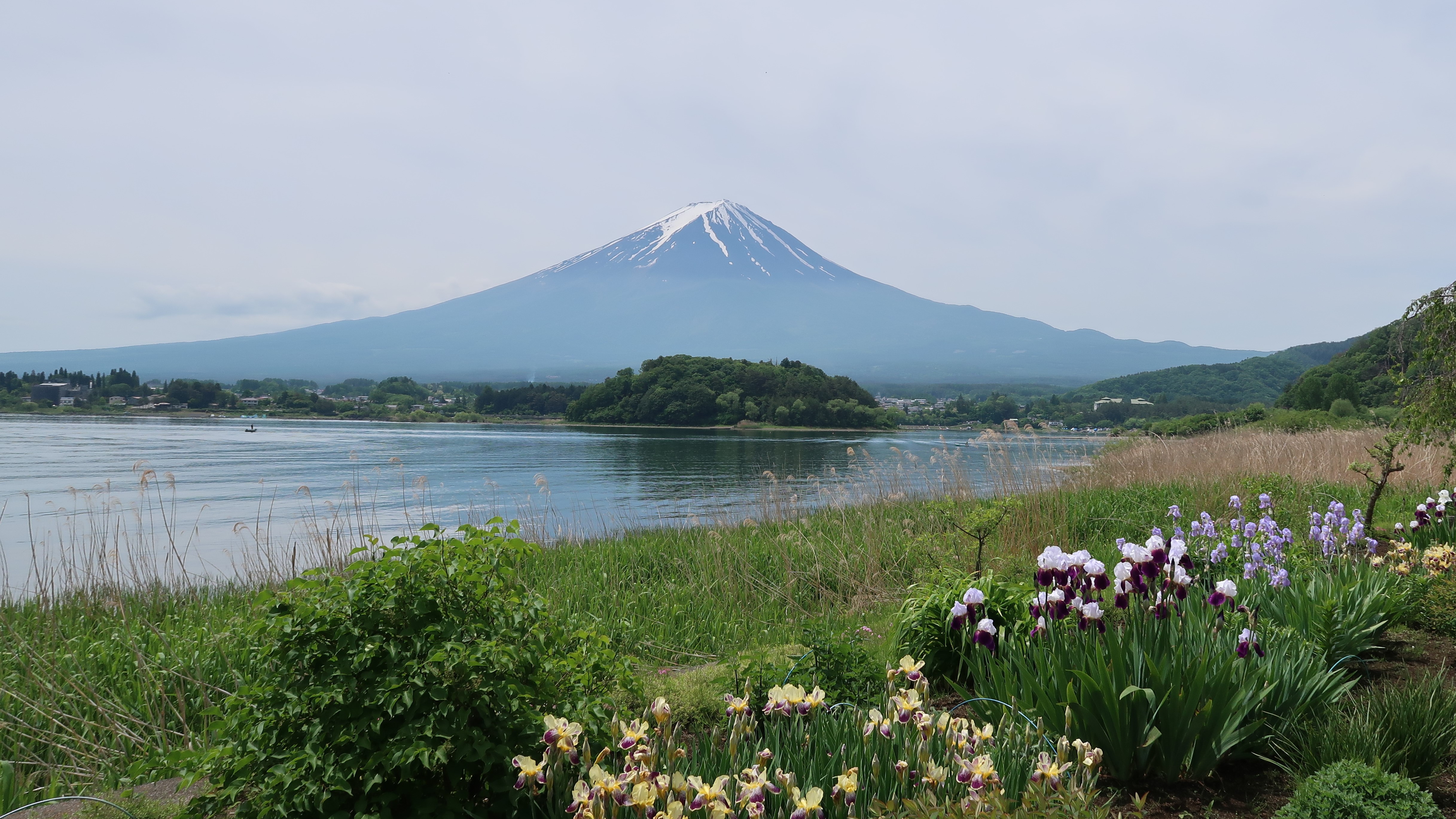 河口湖北岸の大石公園から見える富士山と河口湖