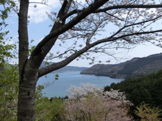 散歩コース_城山公園からの眺め