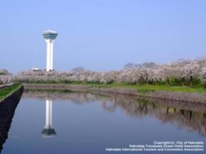 五稜郭公園　春