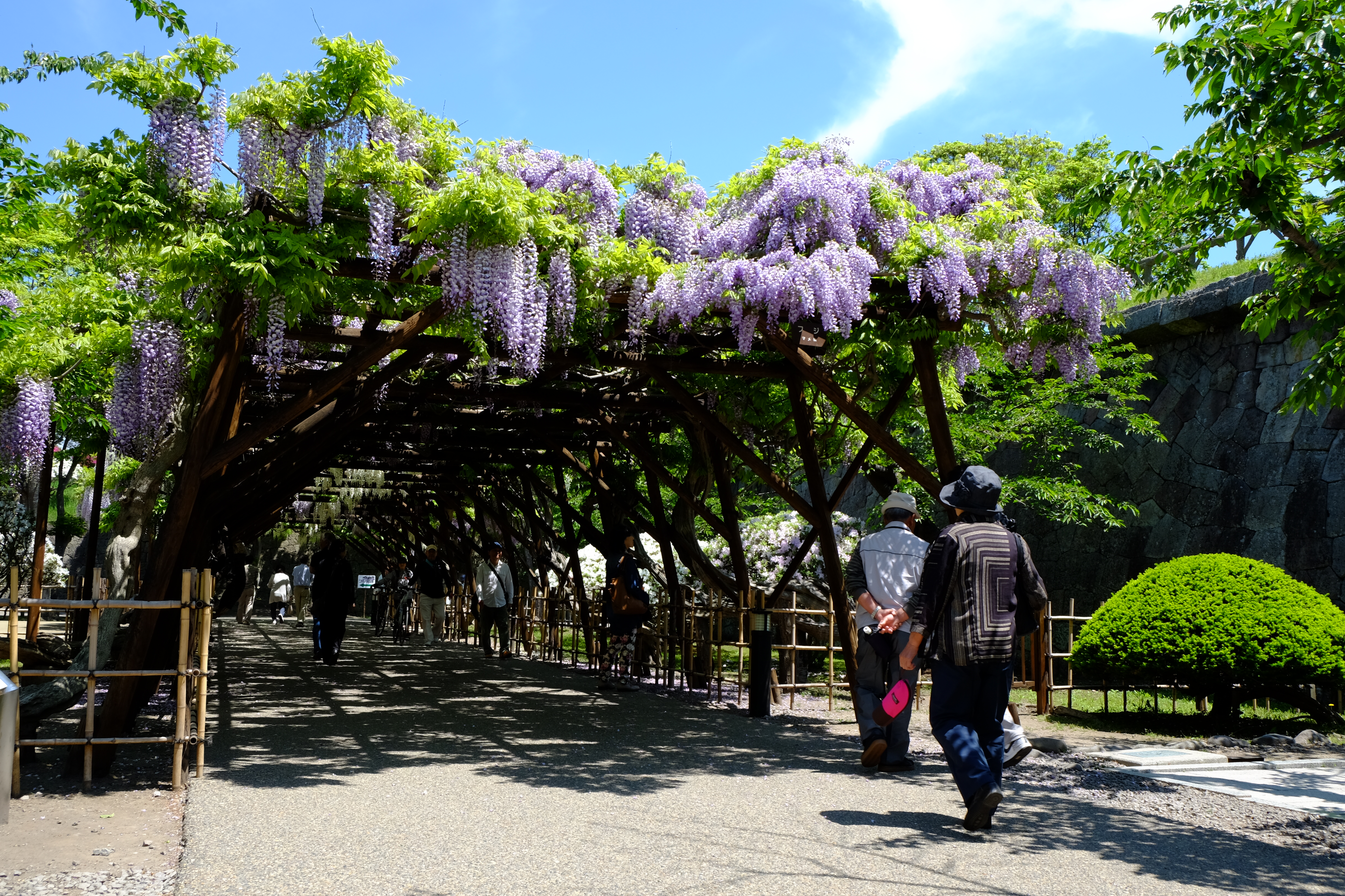 五稜郭公園入口
