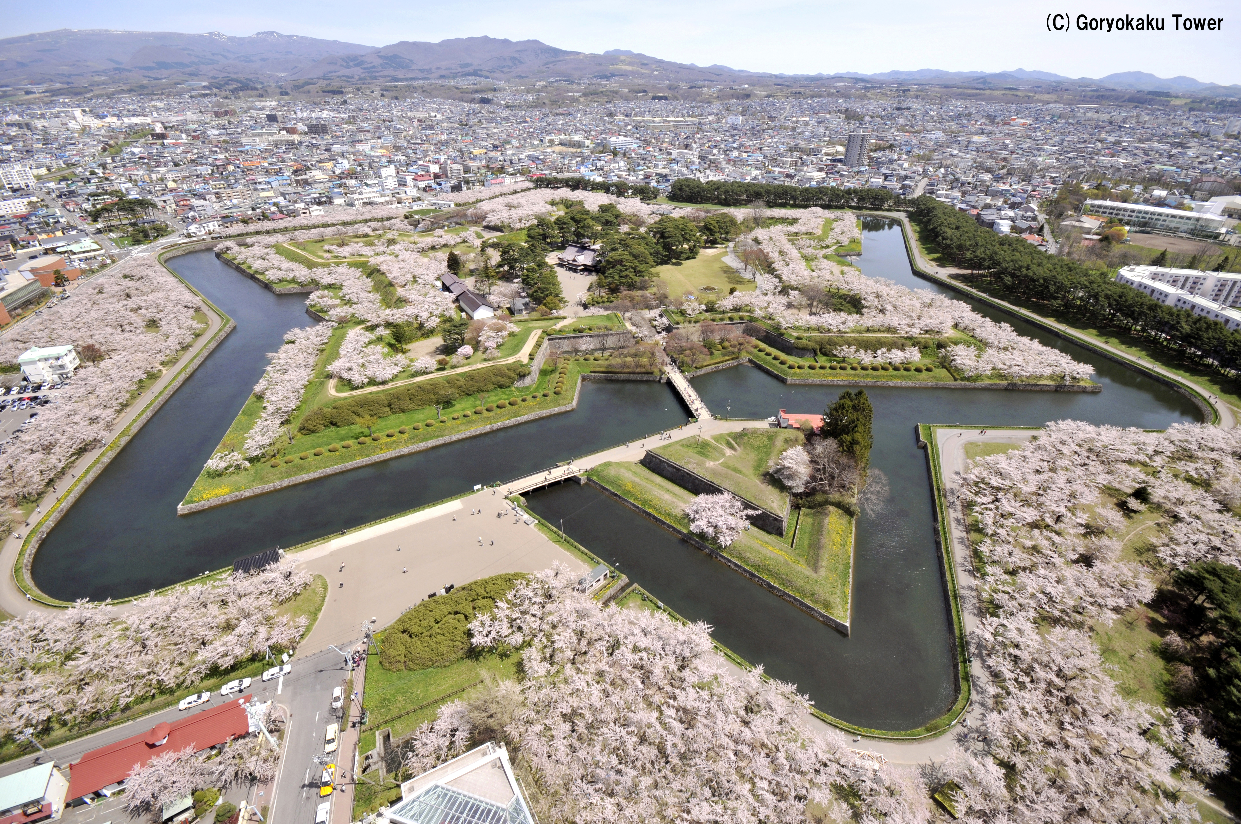 五稜郭公園全体