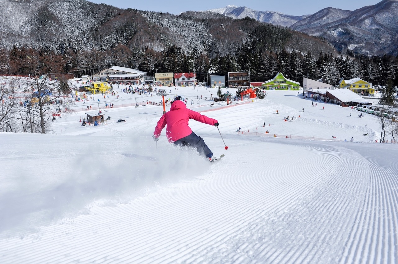 ★【スキープラン】かたしな高原スキー場へ行こう！バイキングプラン★