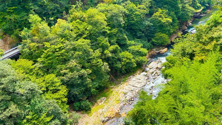 【角部屋・渓谷側】片品渓谷を望む広々とした和室二間　一泊二食バイキングプラン
