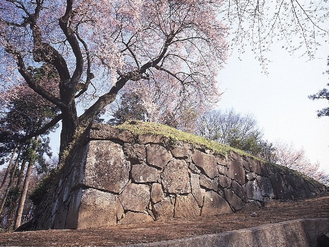 沼田城跡