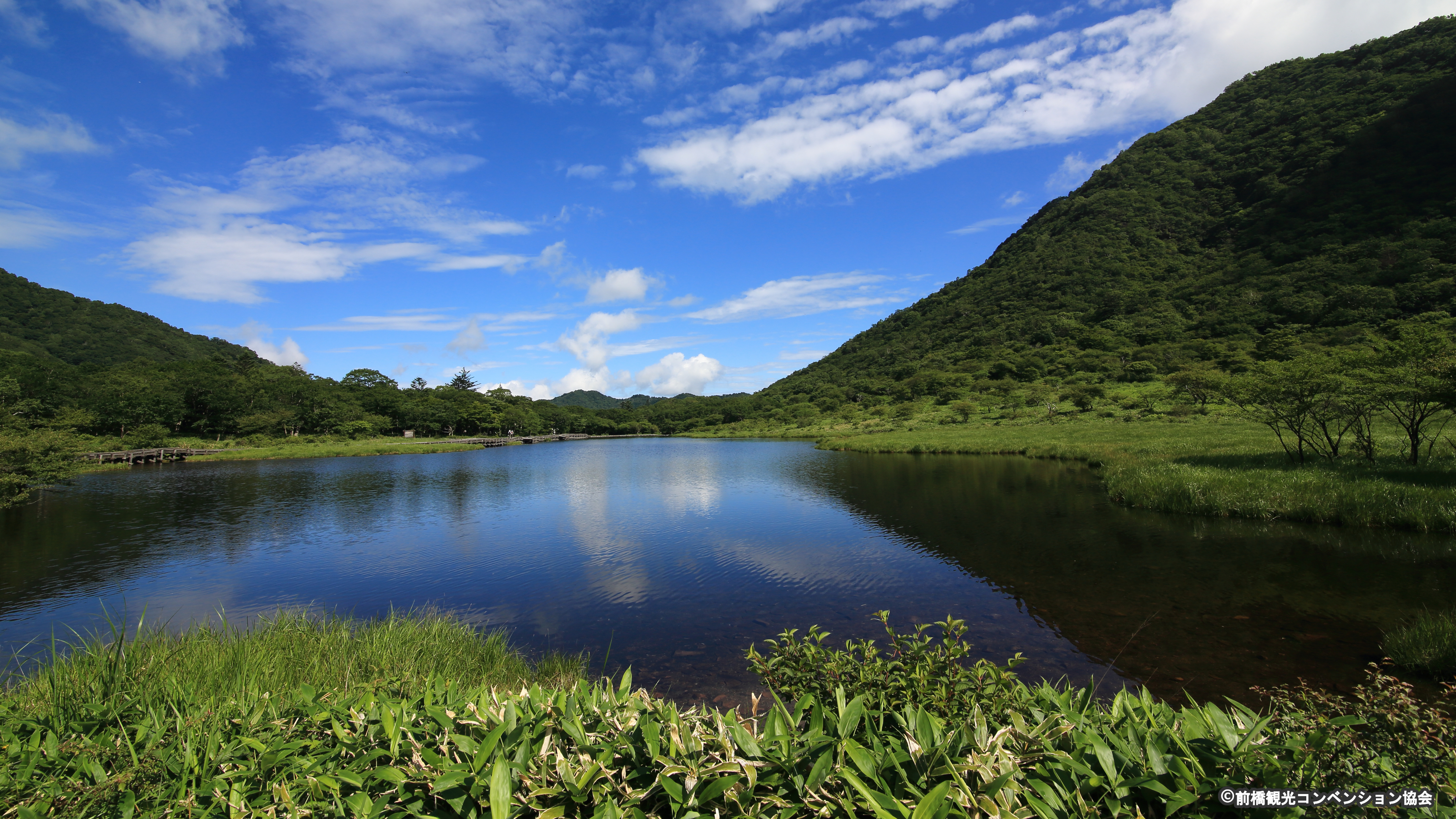 赤城大沼(夏)