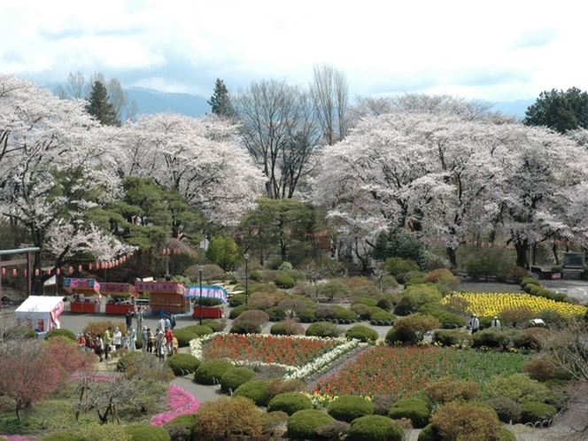 沼田公園桜まつり