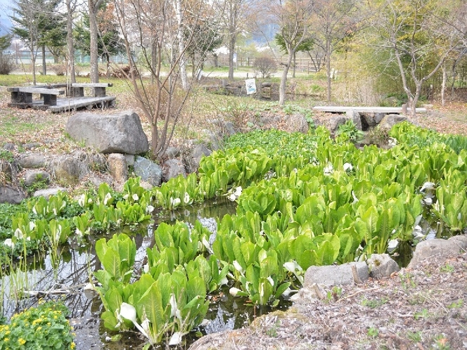 湿地公園