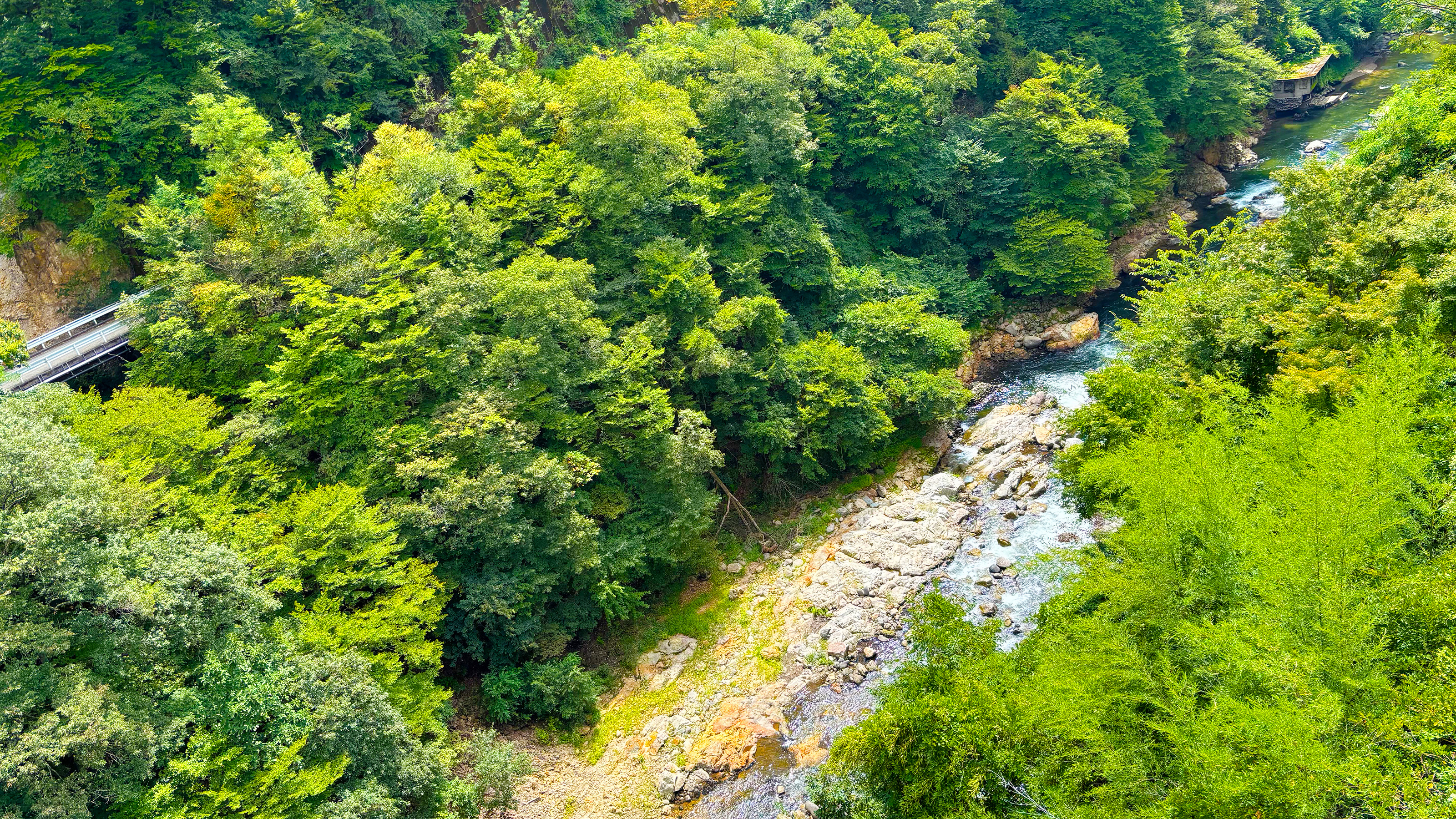 角部屋・渓谷側・和室二間　眺望