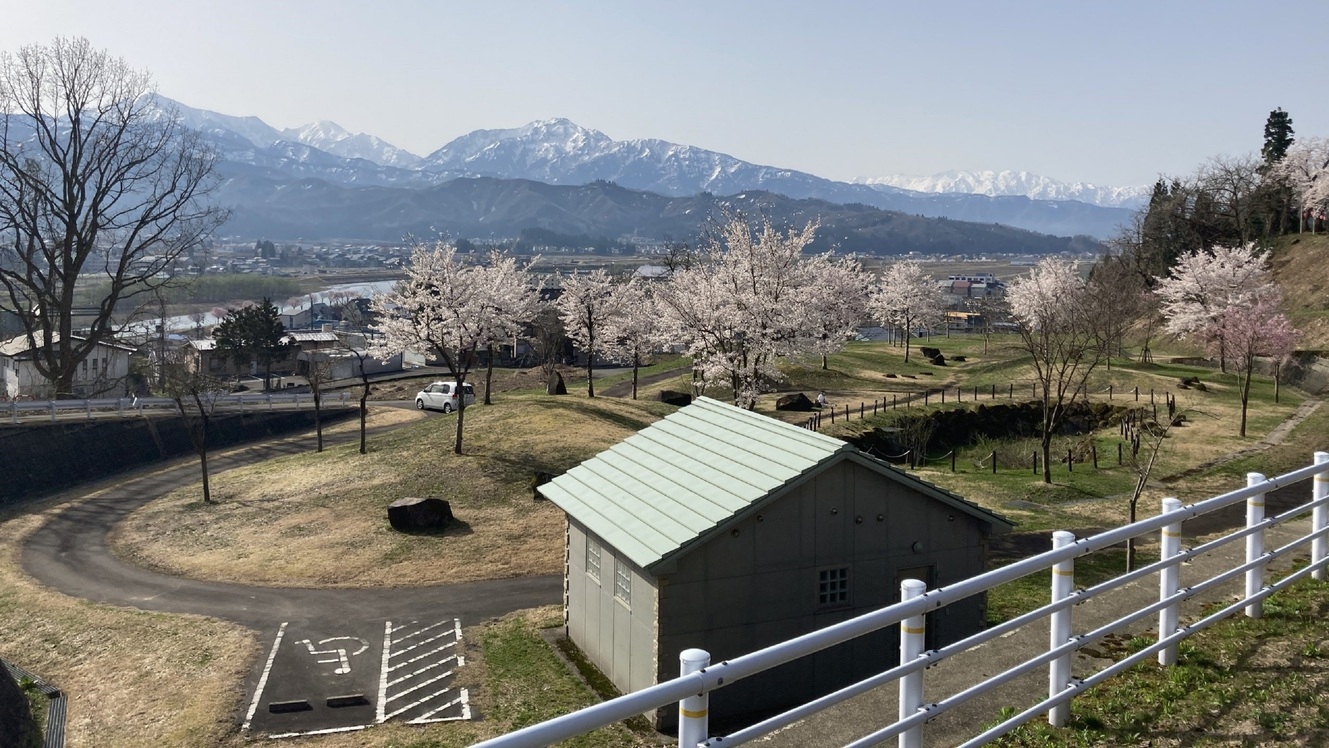 【春シーズン】周辺のお花見スポット紹介♪一泊二食付きバイキングプラン