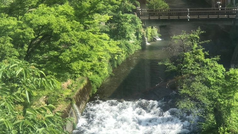 【本館・川側】清流佐梨川と越後駒ヶ岳を一望☆一泊二食バイキングプラン