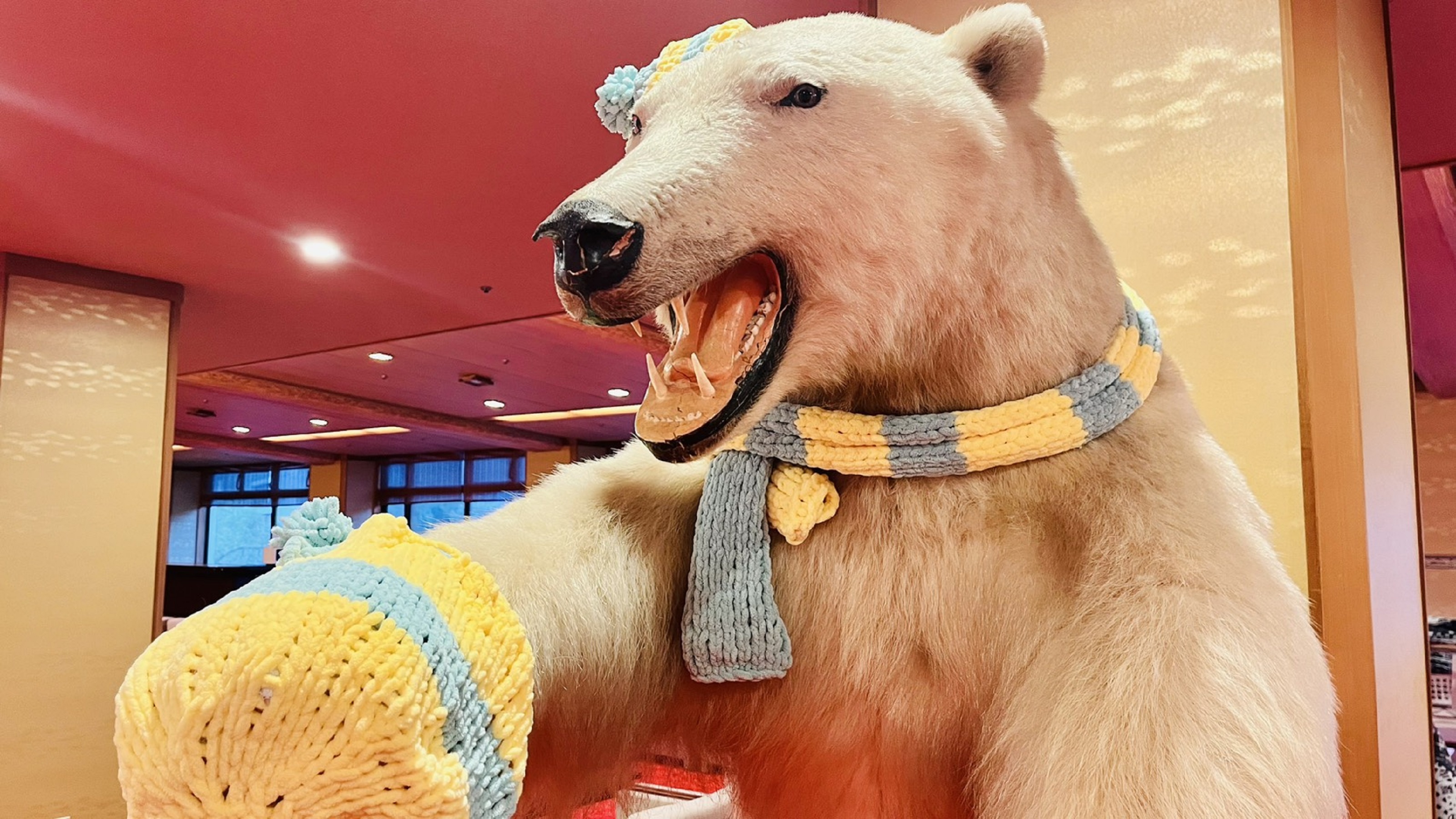 シロクマが皆様をお出迎えします♪