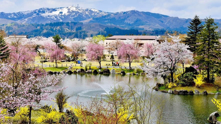 銭淵公園は当ホテルからアクセスの良いお花見スポット♪