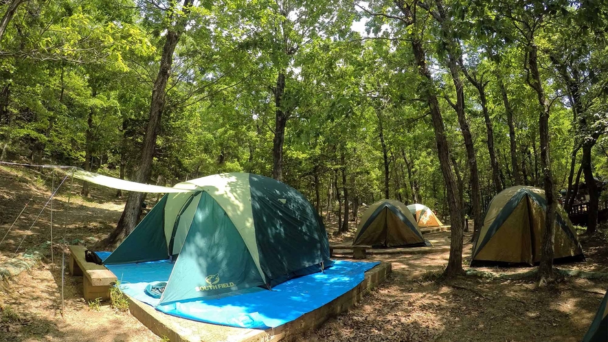 ・キャンプエリア：テントで寝泊まりする本格的なキャンプもOK