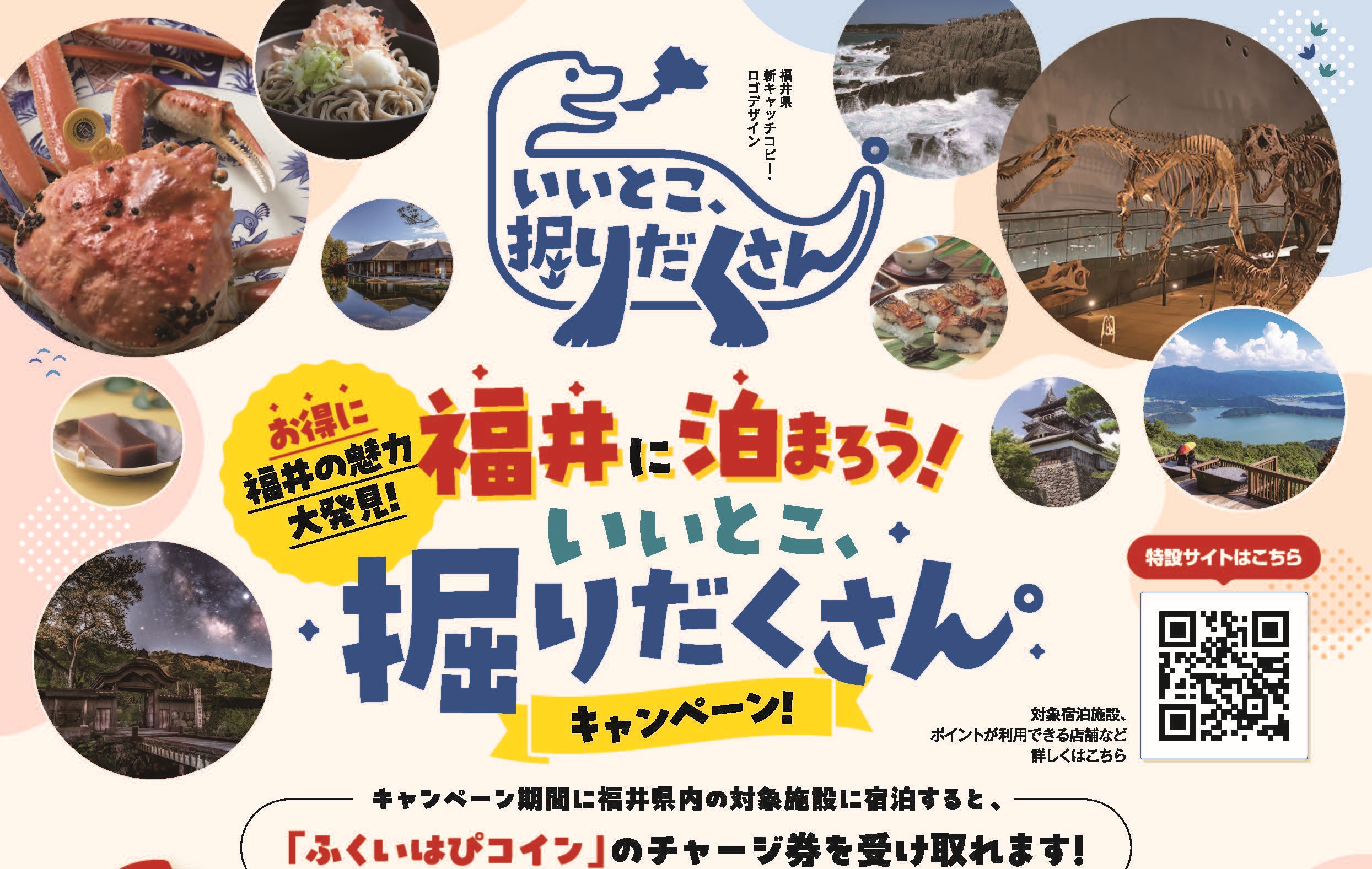 キャンペーン