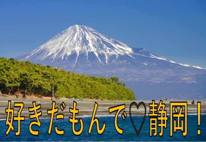 2022年4月【今こそしずおか元気旅対応！　静岡県民限定プラン】好きだもんで静岡！