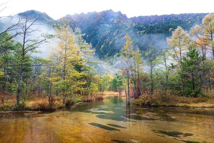 田代池　秋