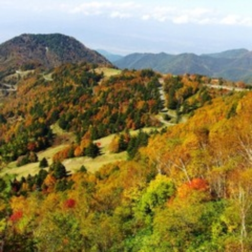 ◆山田牧場　紅葉の頃