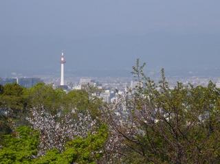 清水寺からの京都タワー