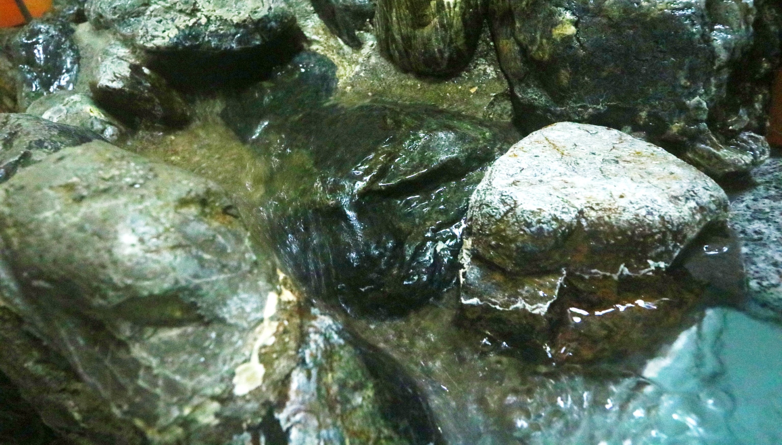 《男湯》身体の芯までぽっかぽか♪