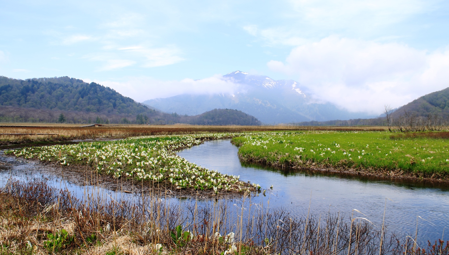 群馬、福島、新潟、栃木の4県にまたがる尾瀬国立公園。