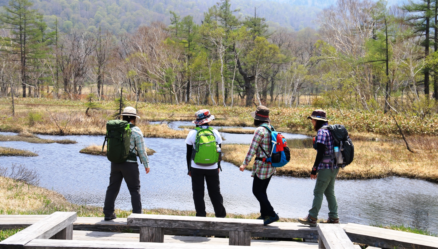 群馬、福島、新潟、栃木の4県にまたがる尾瀬国立公園。