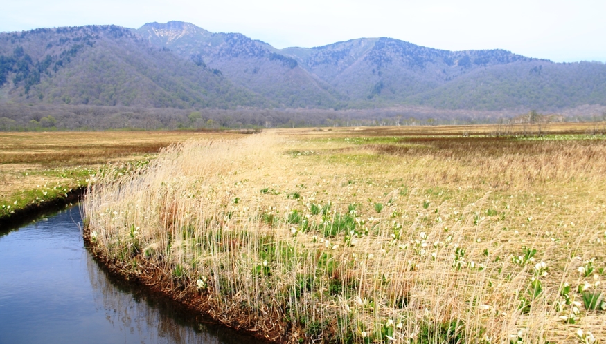 群馬、福島、新潟、栃木の4県にまたがる尾瀬国立公園。