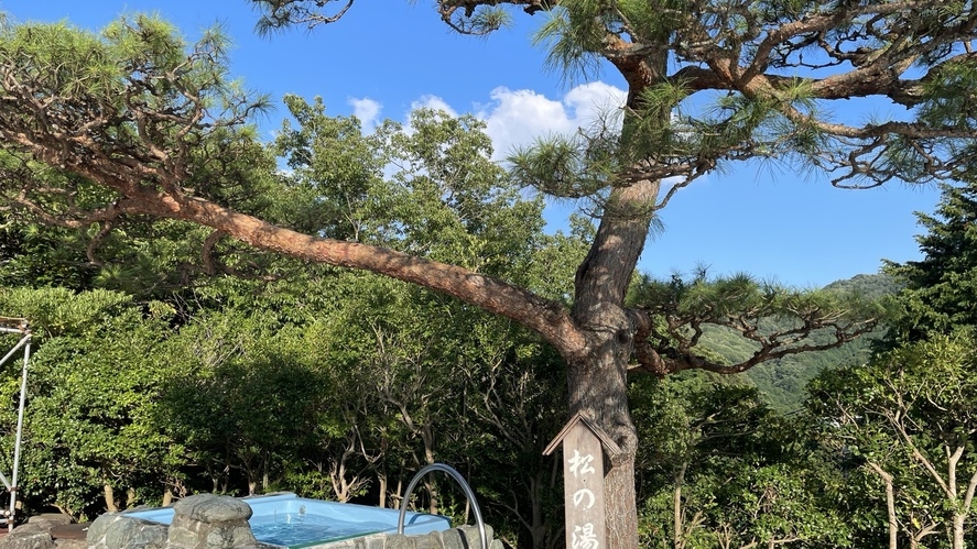 【夏季限定★避暑＆サ活】プール・温泉・サウナ券付き！海抜約340mの高台で涼やか素泊まりステイ♪