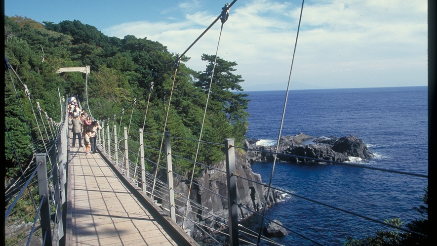 城ヶ崎海つり橋2
