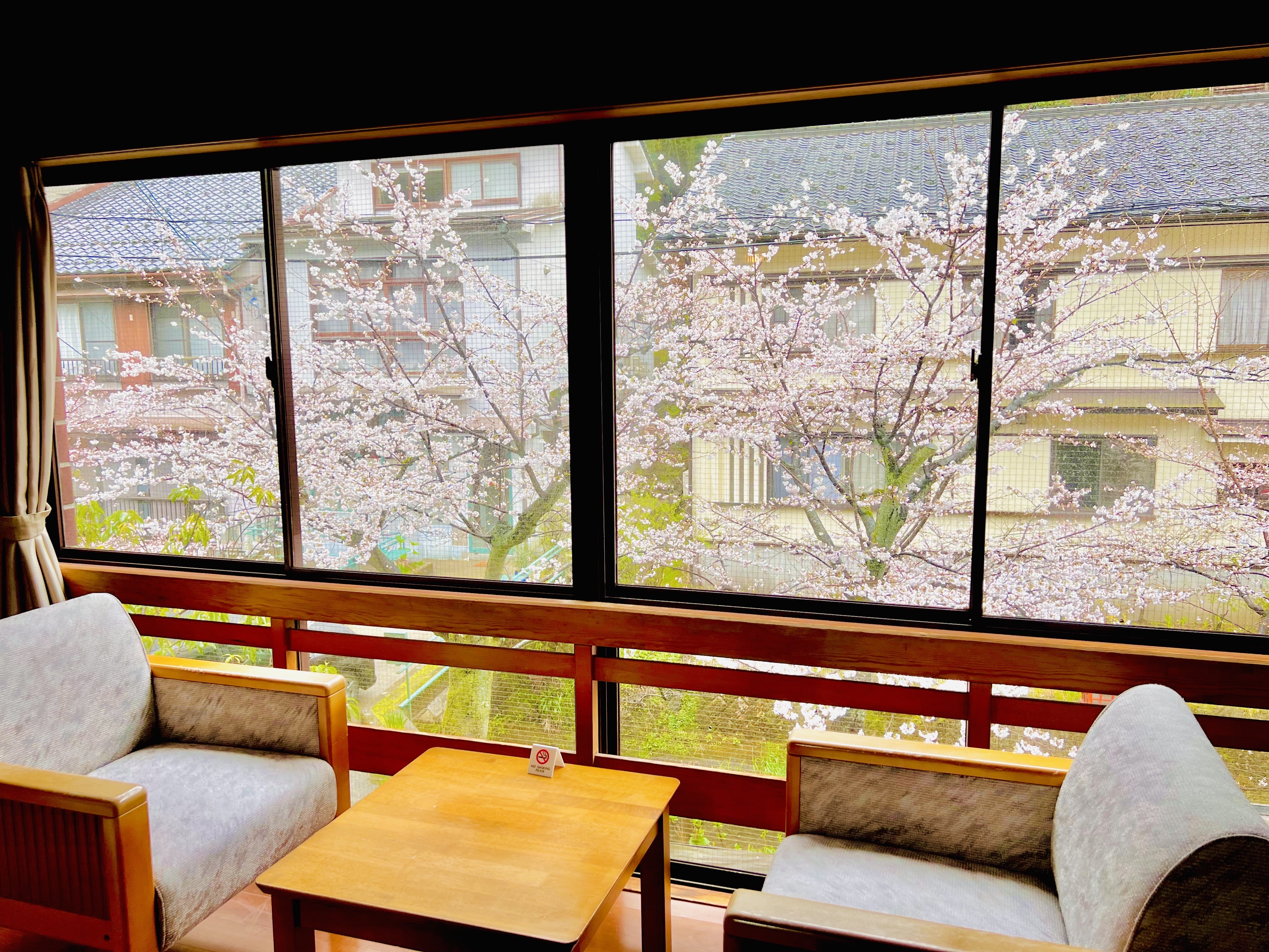 レギュラー客室　縁側