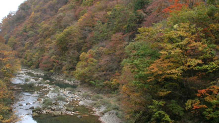 《抱き返り渓谷》新緑から紅葉、雪景色と四季の移り変わりが感じることのできるスポット。お車で約45分。