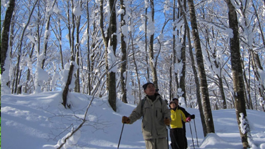休暇村乳頭温泉郷では、冬期間（10：30〜）スタッフがご案内するスノーシュー体験を行っております。