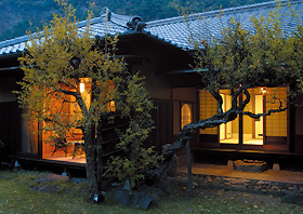 Harvest Mushi - 外觀