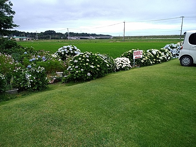 お得な３連泊以上２８００〜円プラン