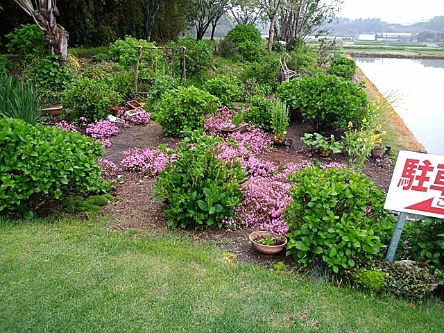 リ−ズナブルな素泊まり３０００円プラン【１室４〜5名様利用】